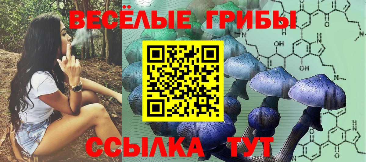 Энгельс  Галлюциногенные грибы Magic Shrooms  Вход с VPN 